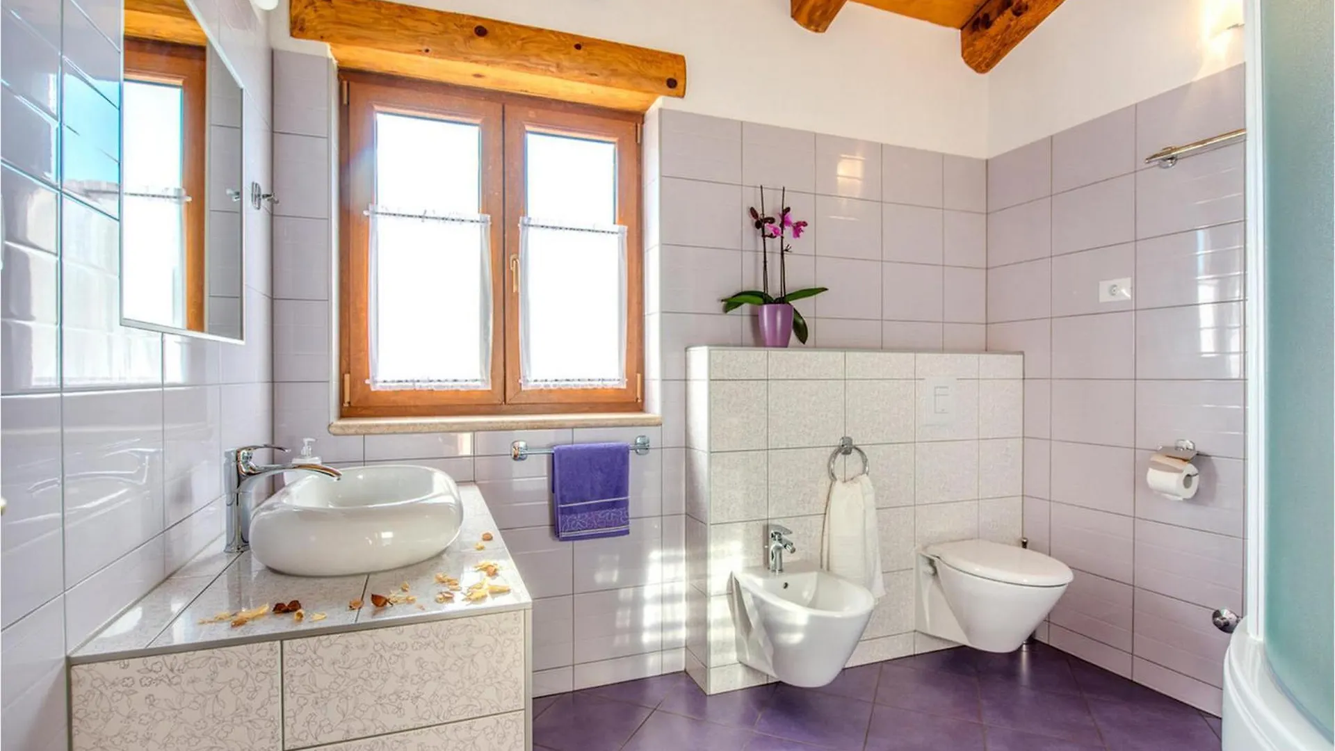 Holiday home Villa Oliveta Pula Croatia